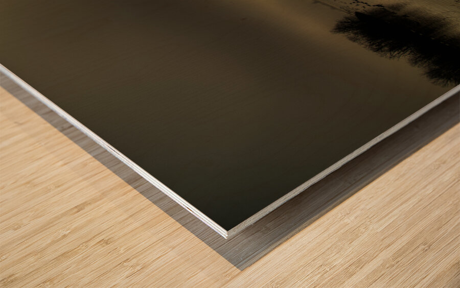 LAN 02074 Wood print