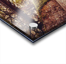 Cobbles Stones  Acrylic print