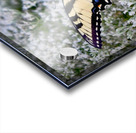 Butterfly Garden  Acrylic print