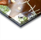 Black Magic  Acrylic print