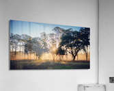 Rise and Shine  Acrylic Print