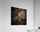 Up in flames  Acrylic Print
