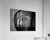 Dizzy  Acrylic Print