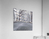 Central Park  Acrylic Print