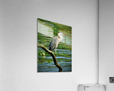 Marsh Friends Acrylic Print