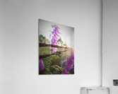 Barbed Wire Acrylic Print