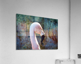 DSCN2290 Acrylic Print