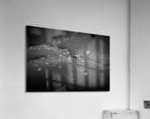 Droplets  Acrylic Print