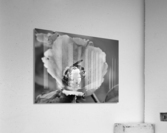 Pollen Butts 2 Acrylic Print