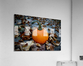 Pumpkin Spice  Acrylic Print
