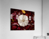 Autumn  Acrylic Print