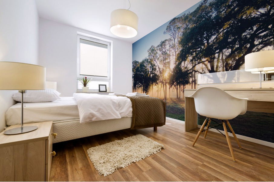 Rise and Shine  Mural print