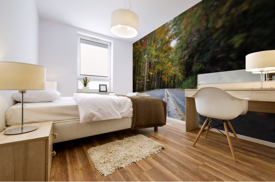 Mountain Drive  Mural print