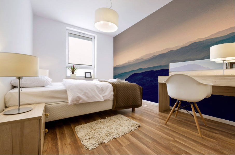 Overlook  Mural print