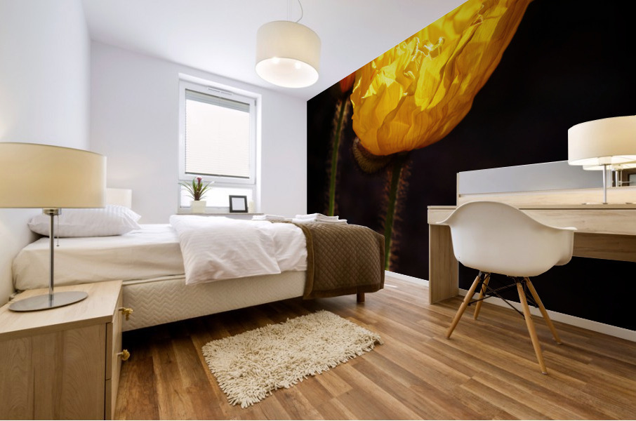 Morning Glory  Mural print