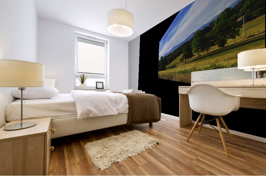 Mountain Views Mural print