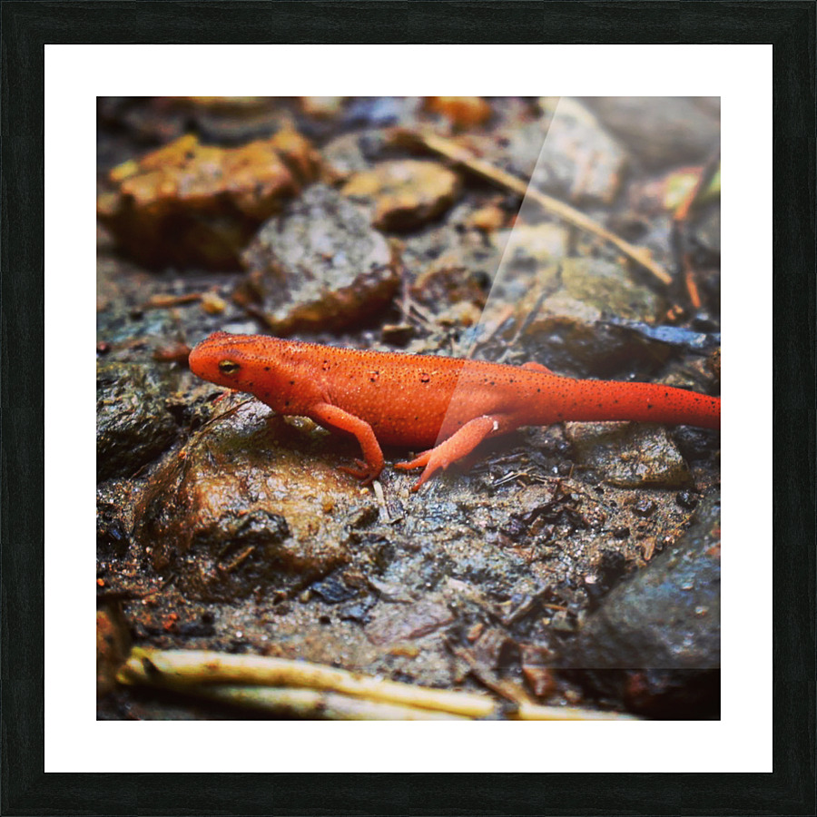 Hiking Friends  Picture Frame print