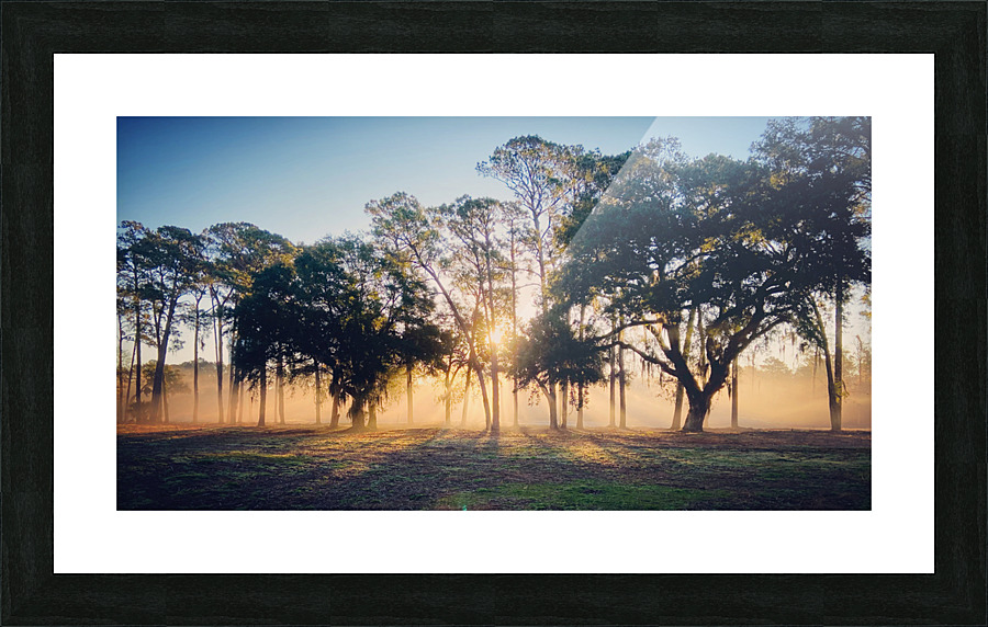 Rise and Shine  Picture Frame print