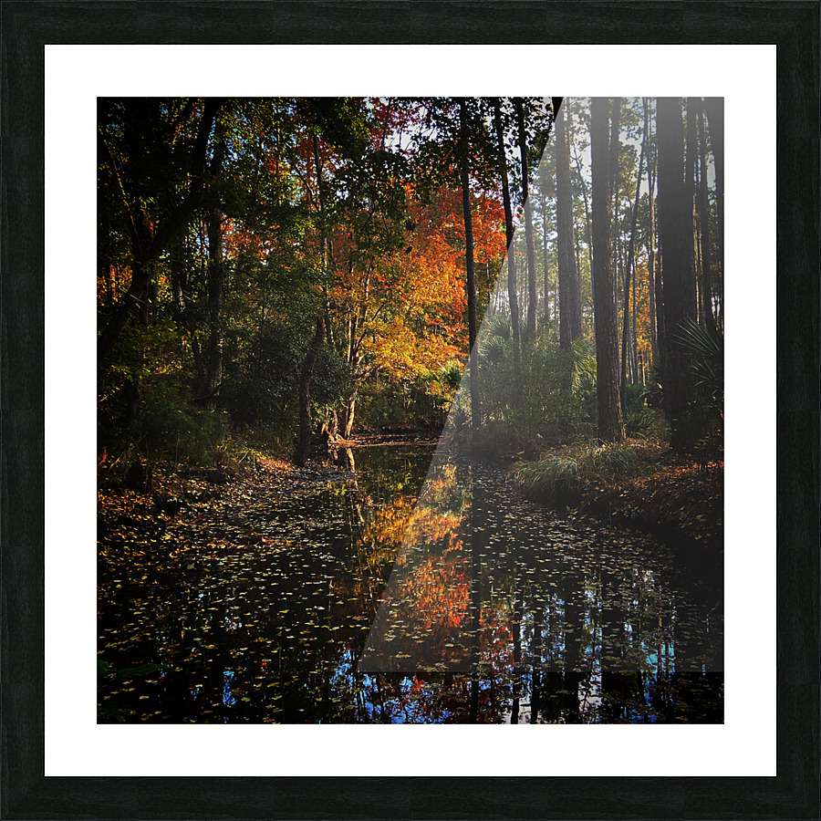 Up in flames  Picture Frame print
