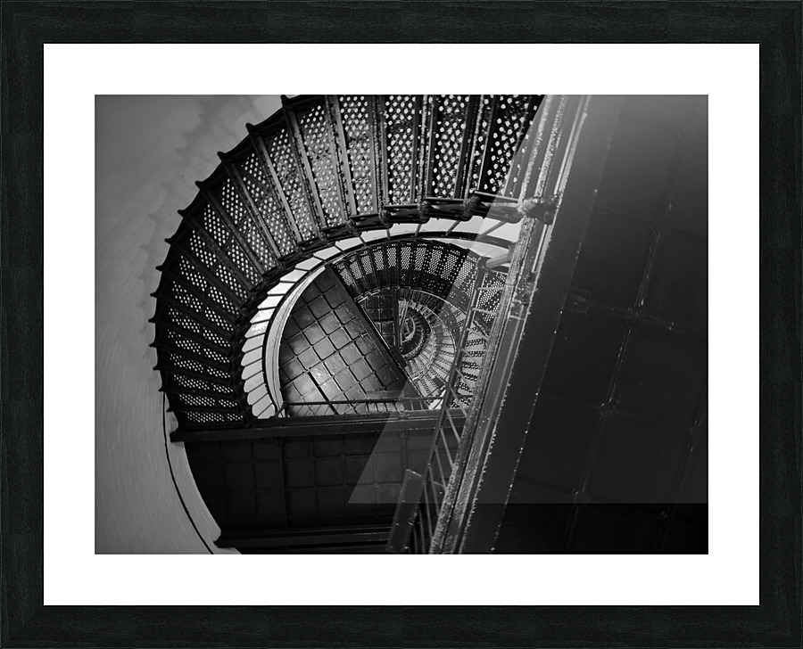Dizzy  Picture Frame print