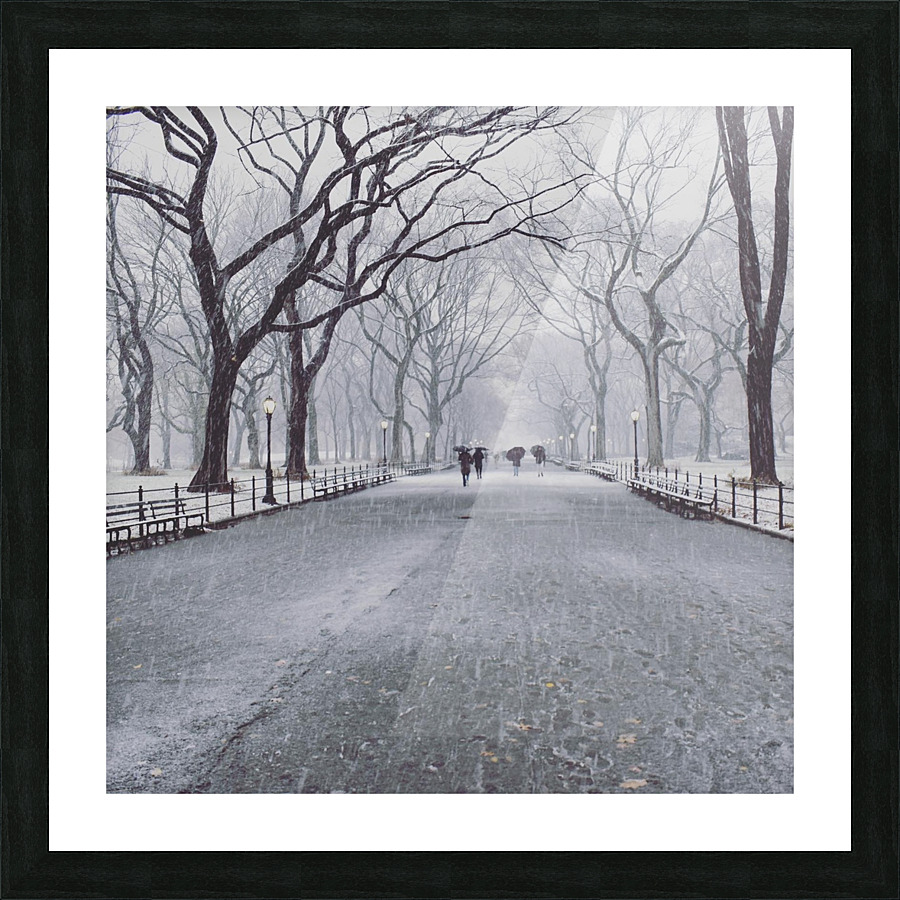 Central Park  Picture Frame print