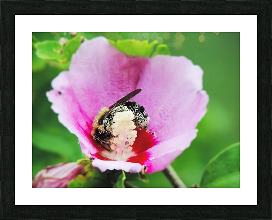 Pollen Butts Picture Frame print