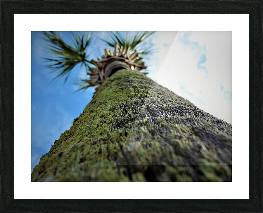 Close Up Picture Frame print