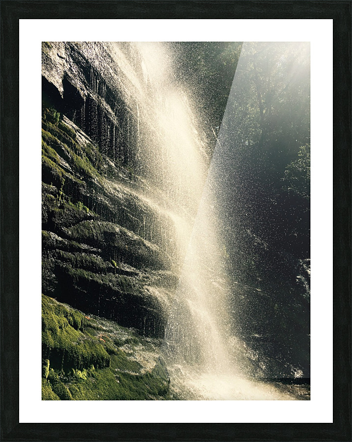 Twin Falls Picture Frame print