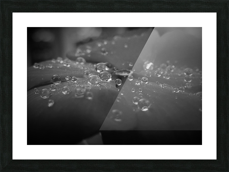 Droplets  Picture Frame print