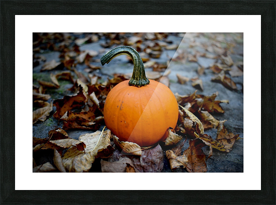 Pumpkin Spice  Picture Frame print