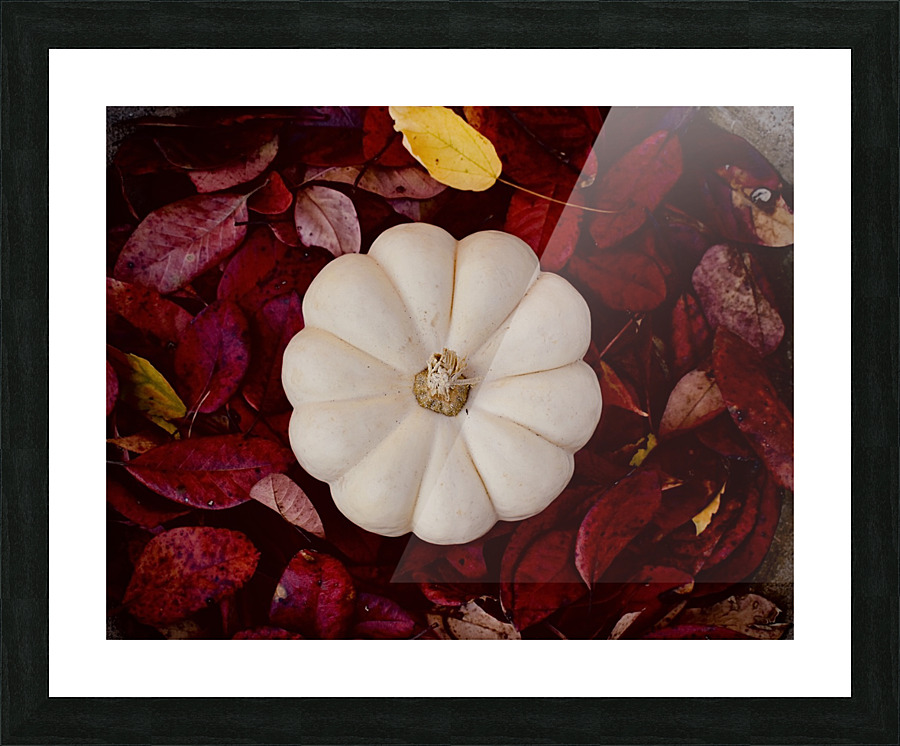Autumn  Picture Frame print