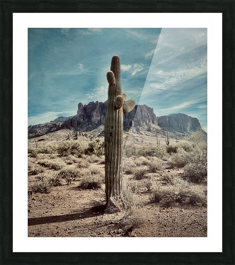 Stands Alone  Picture Frame print