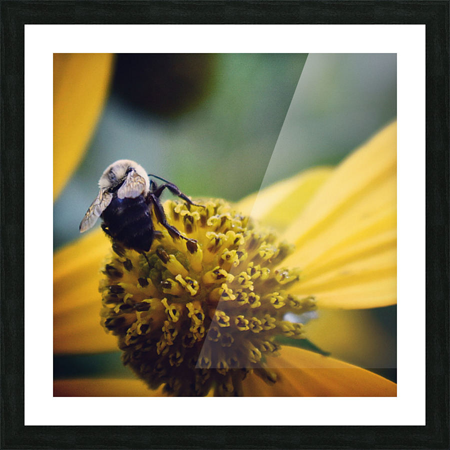 Bee Yourself  Picture Frame print