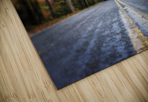 Mountain Drive  Stephanie Driscoll puzzle