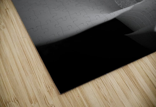 Dark spaces Stephanie Driscoll puzzle