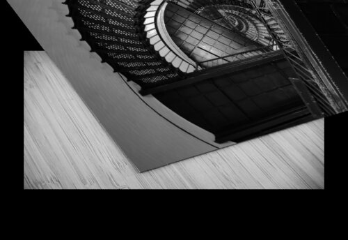 Dizzy  Stephanie Driscoll puzzle