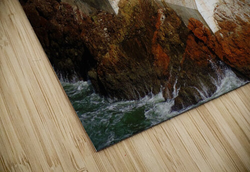 Sea Shack  Stephanie Driscoll puzzle