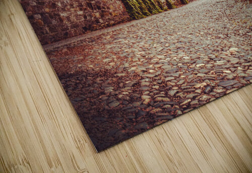 Cobbles Stones  Stephanie Driscoll puzzle