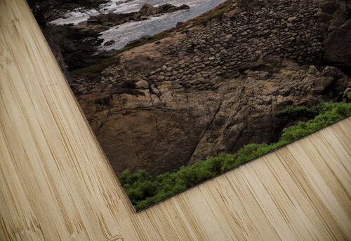 Pebble Beach  Stephanie Driscoll puzzle