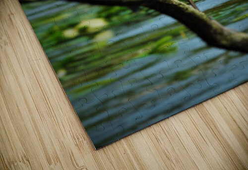 Marsh Friends Stephanie Driscoll puzzle