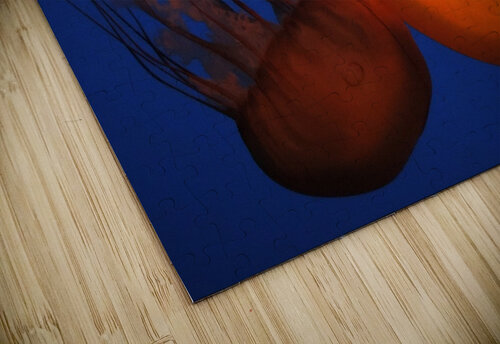 Jellies Stephanie Driscoll puzzle