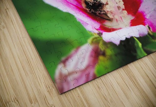 Pollen Butts Stephanie Driscoll puzzle