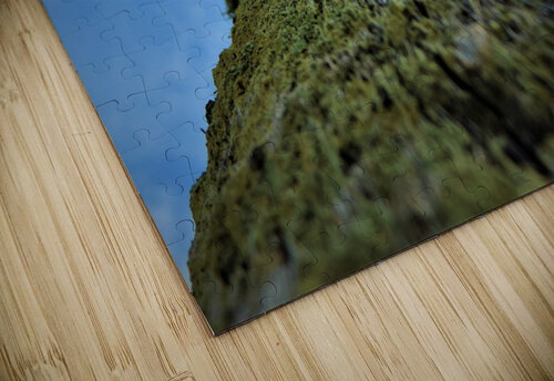 Close Up Stephanie Driscoll puzzle
