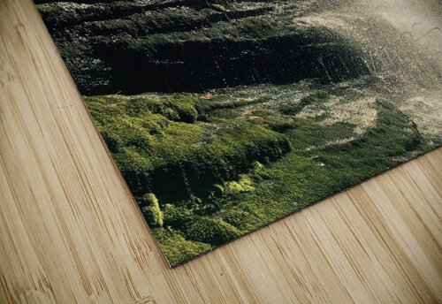 Twin Falls Stephanie Driscoll puzzle