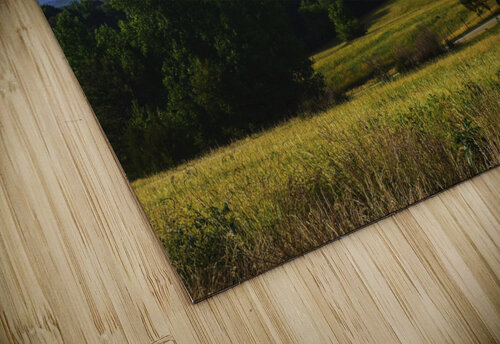Mountain Views Stephanie Driscoll puzzle