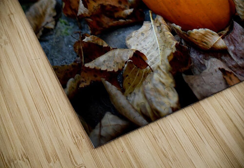 Pumpkin Spice  Stephanie Driscoll puzzle