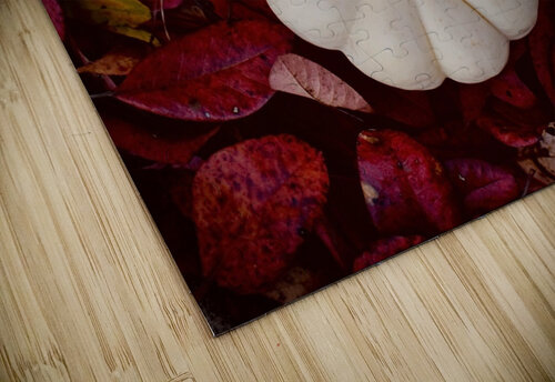 Autumn  Stephanie Driscoll puzzle