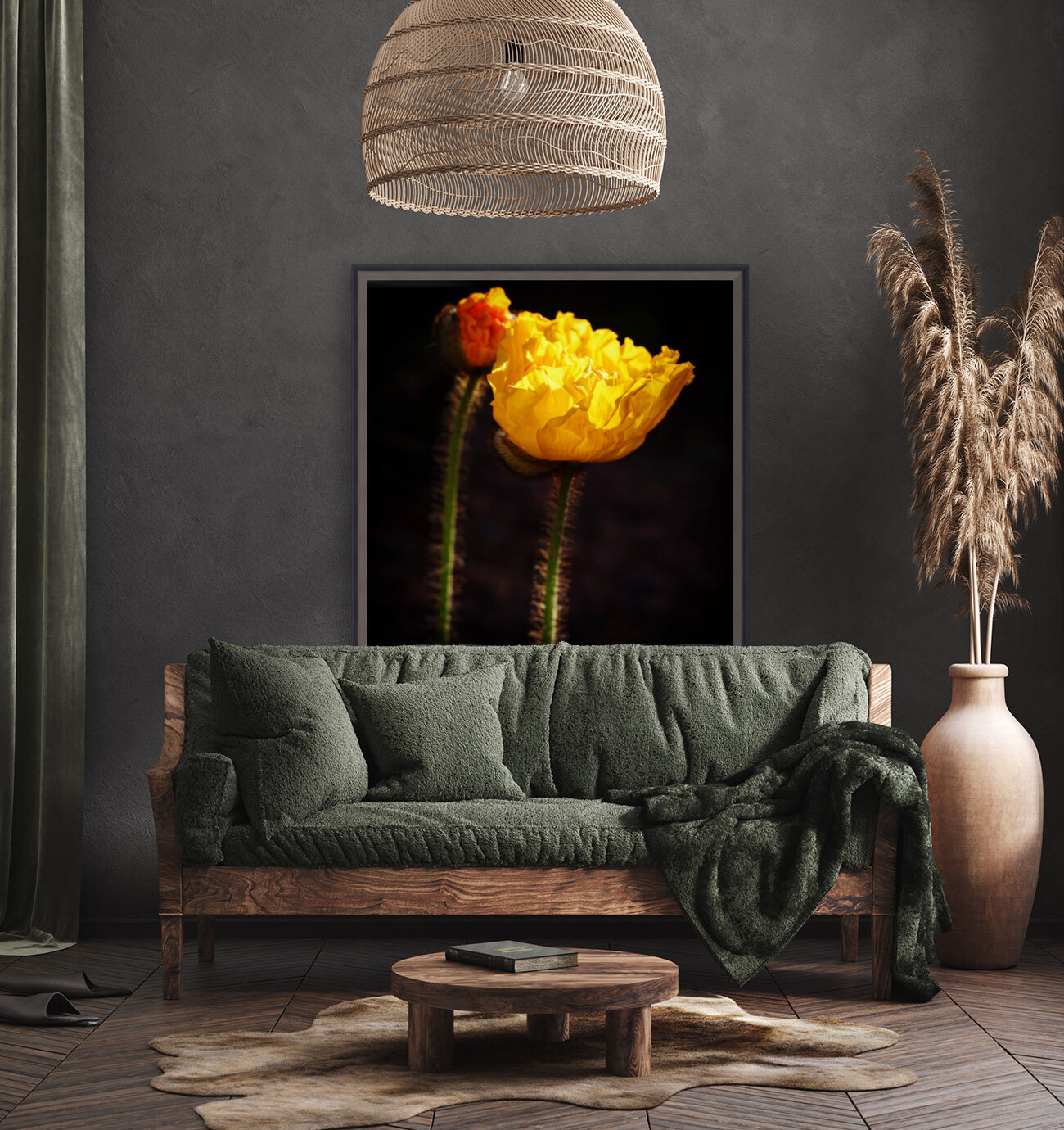 Morning Glory  Reproduction