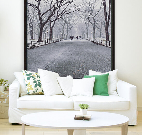 Central Park  Reproduction