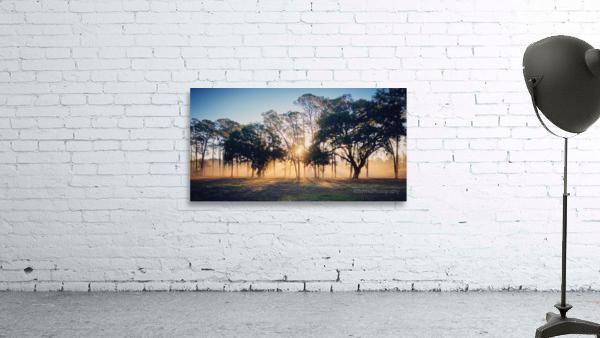 Rise and Shine  Wall Preview